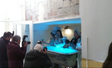 Presseshooting
